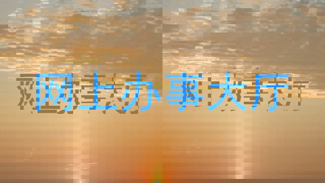 网上办事大厅