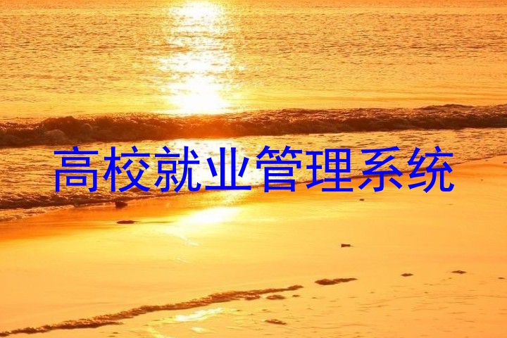 高校就业管理系统