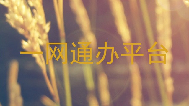 一网通办平台