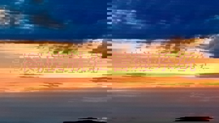 高校就业管理系统
