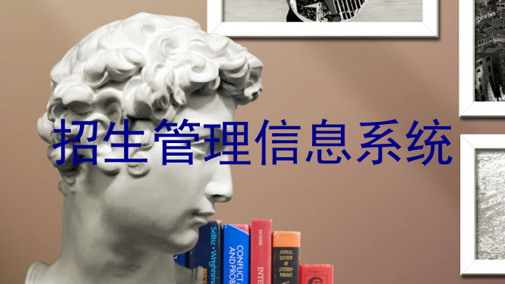 招生管理信息系统