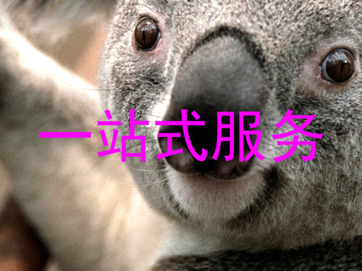 一站式服务