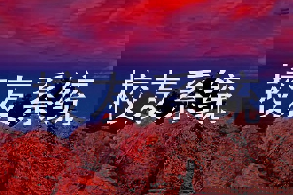 校友系统