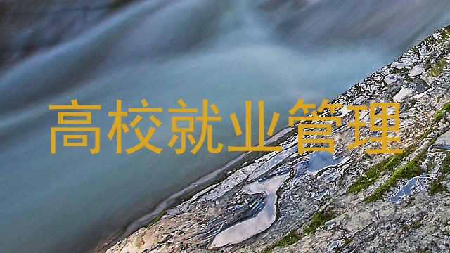 高校就业管理