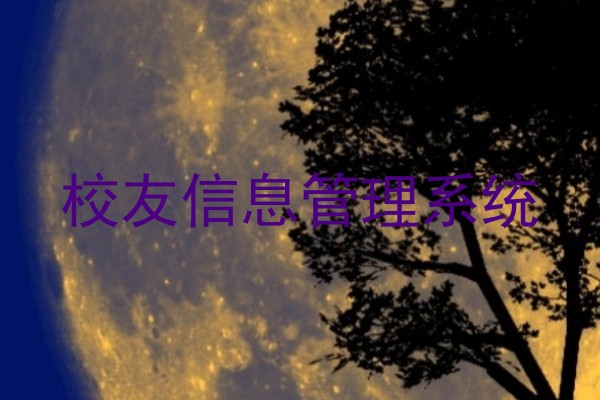 校友信息管理系统