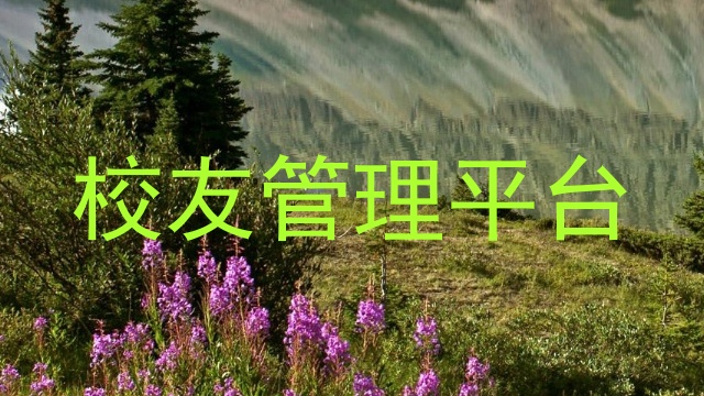 校友管理平台