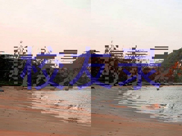校友录