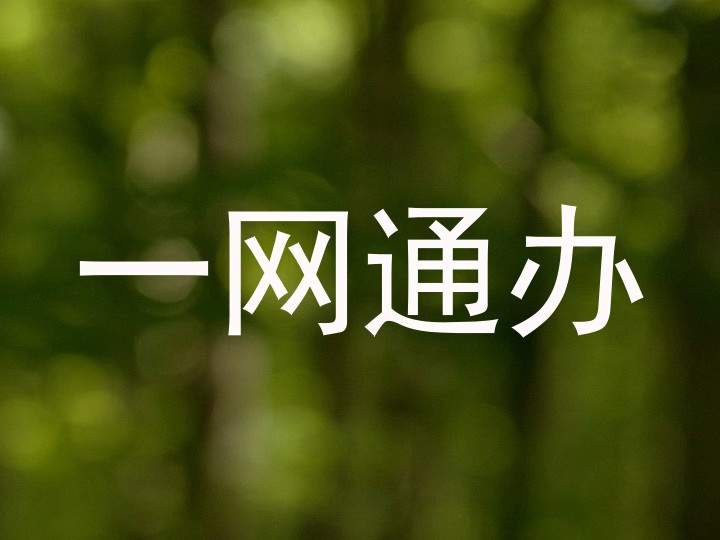 一网通办