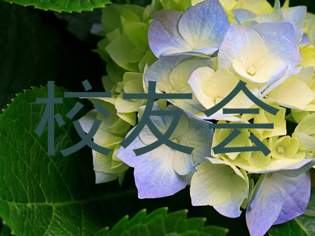 校友会