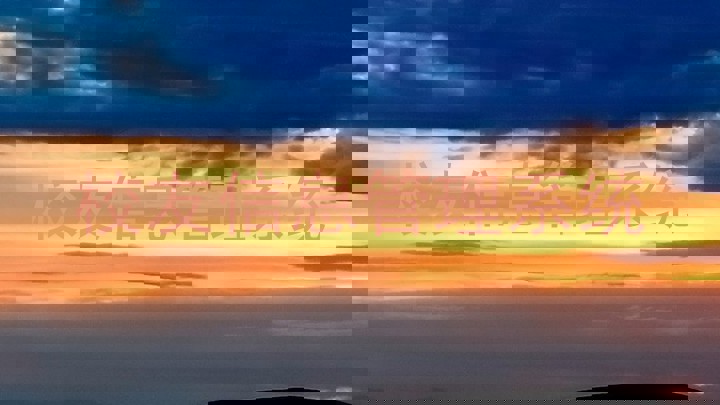 校友信息管理系统