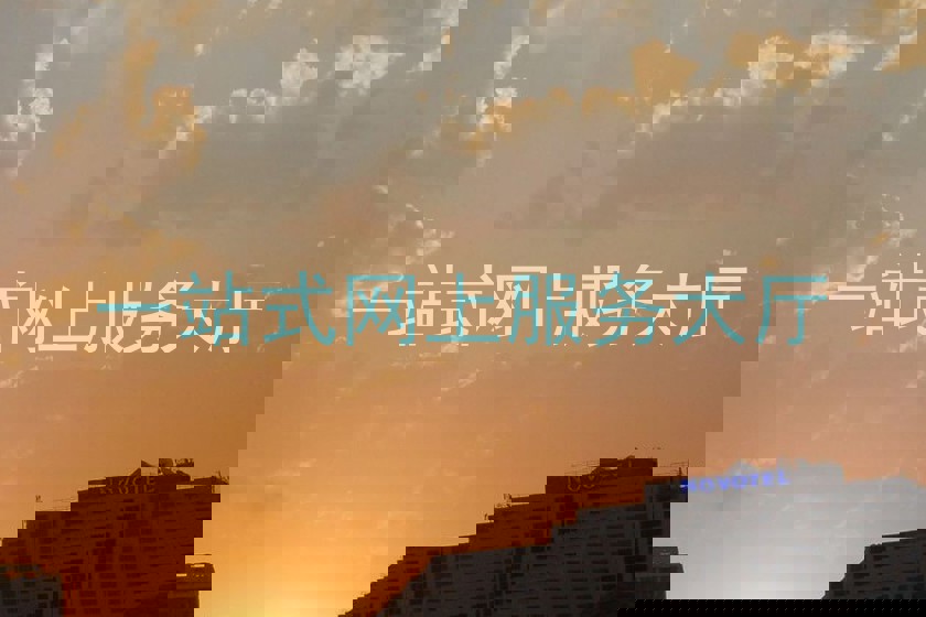 一站式网上服务大厅