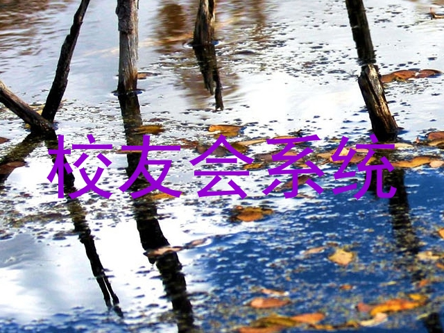校友会系统