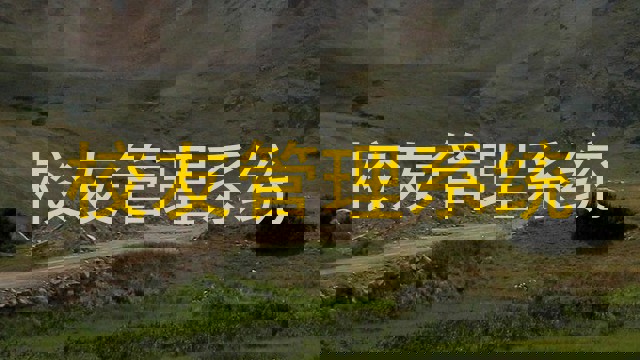 校友管理系统