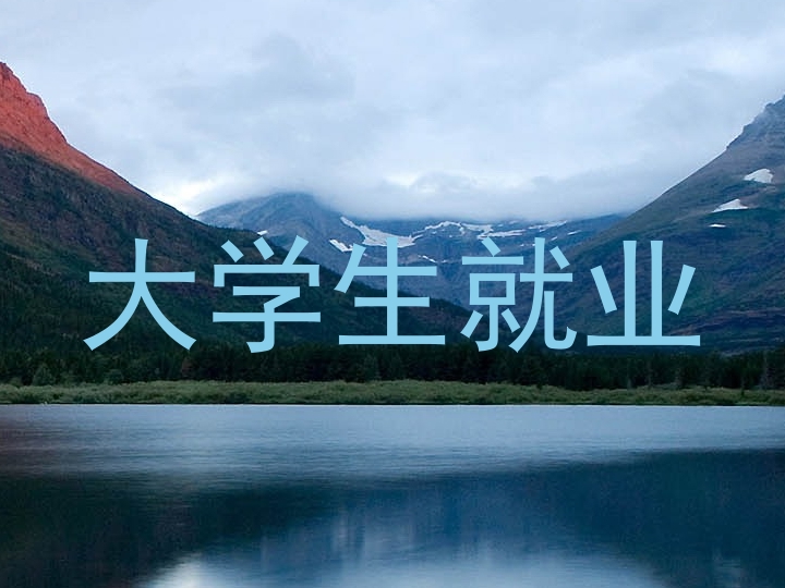 大学生就业