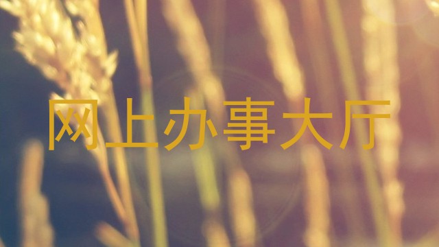 网上办事大厅