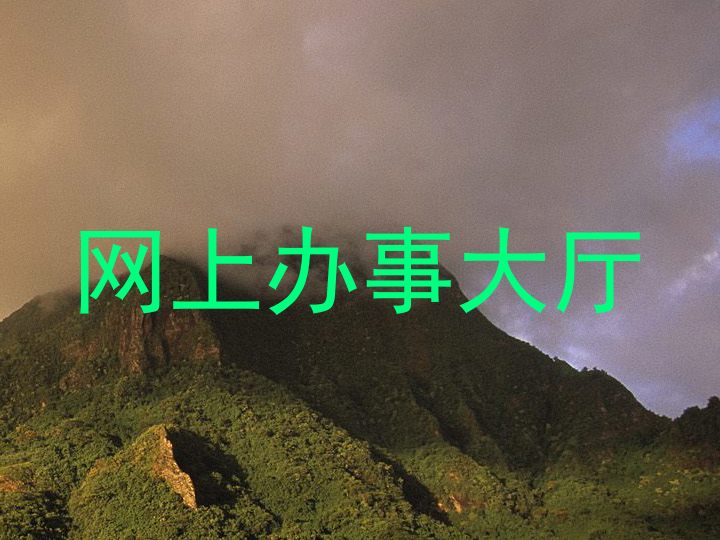 网上办事大厅