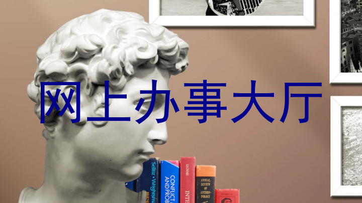 网上办事大厅