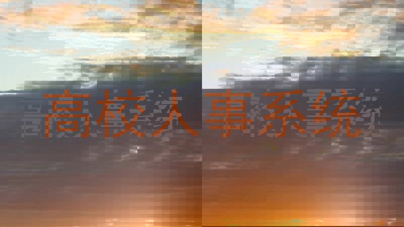 高校人事系统