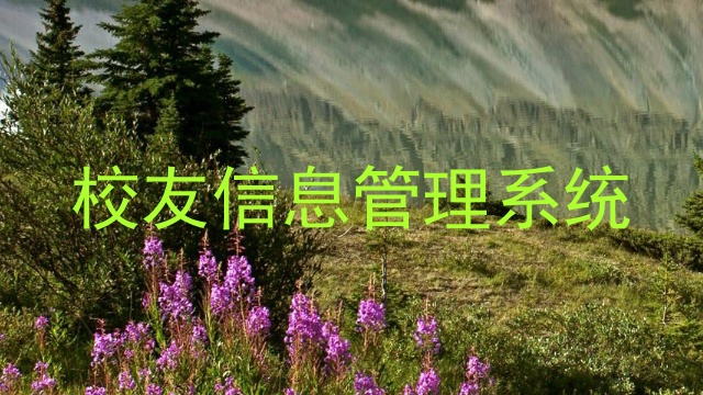 校友信息管理系统