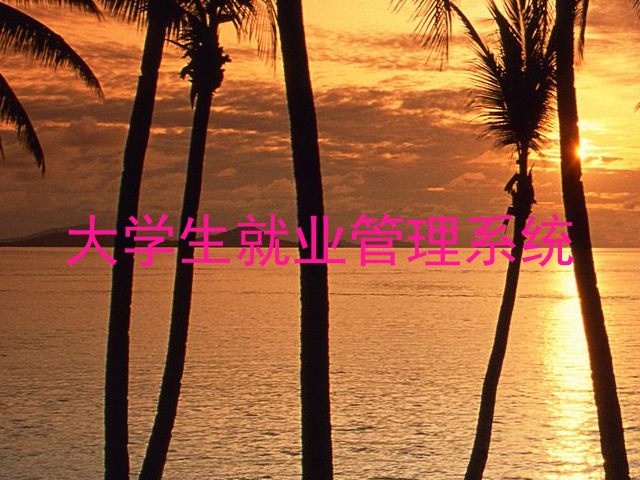 大学生就业管理系统