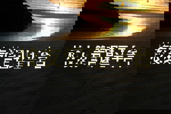 校友管理平台