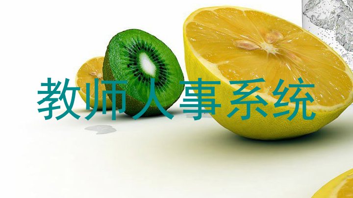 教师人事系统