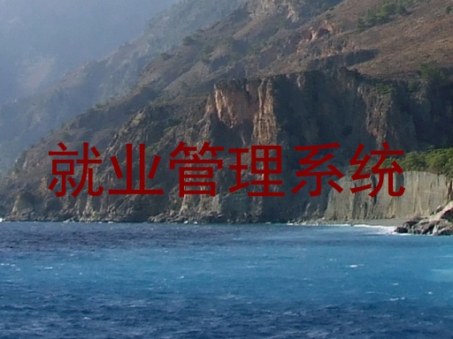 就业管理系统