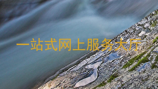 一站式网上服务大厅