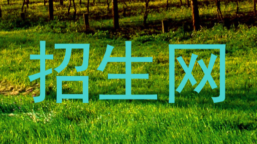 招生网