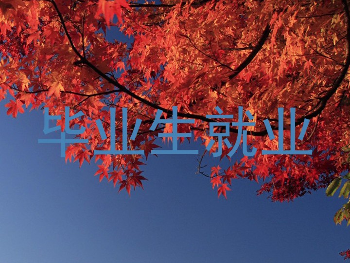 毕业生就业