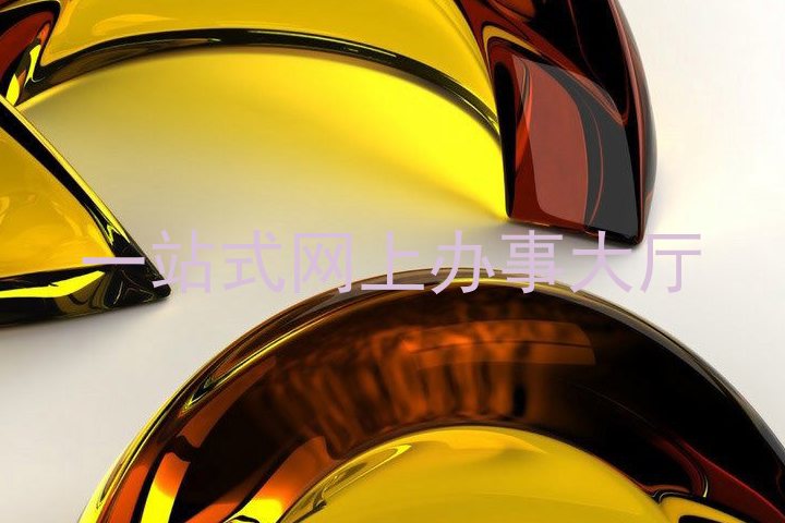 一站式网上办事大厅
