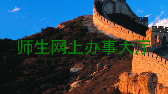师生网上办事大厅