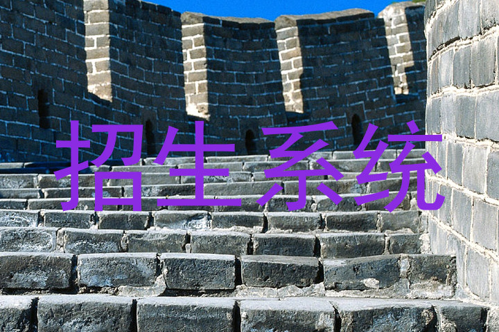招生系统