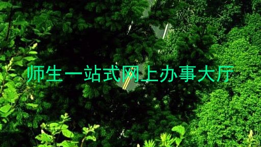 师生一站式网上办事大厅