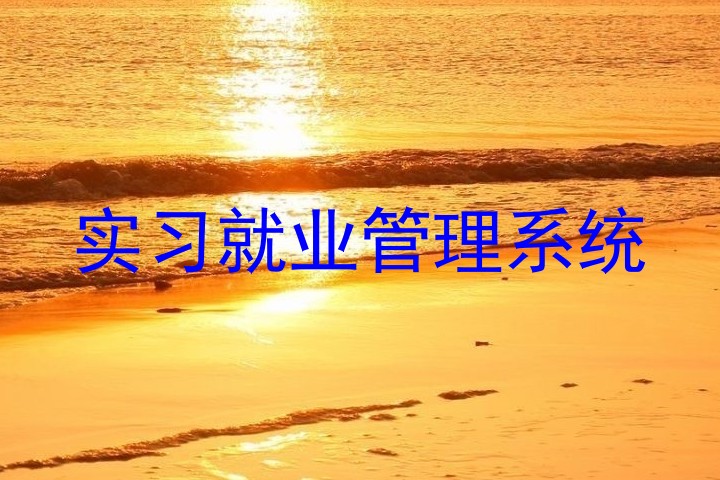 实习就业管理系统