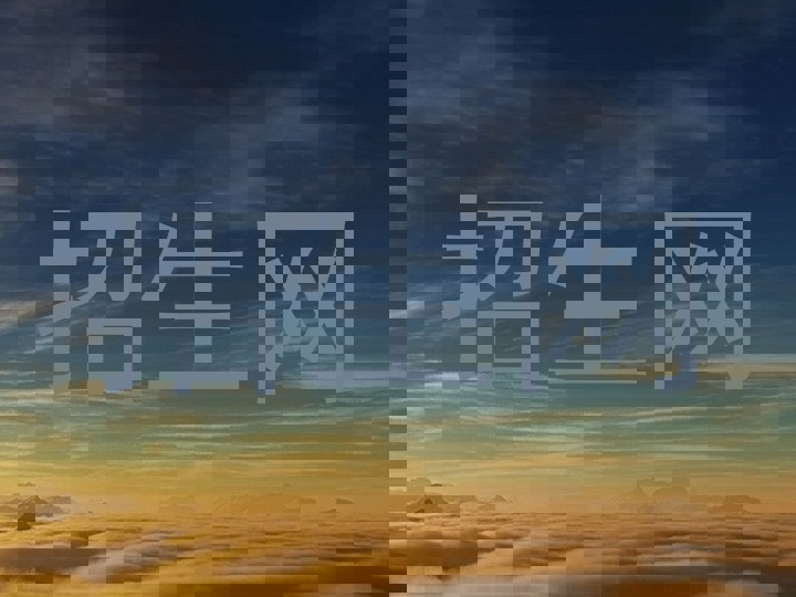 招生网