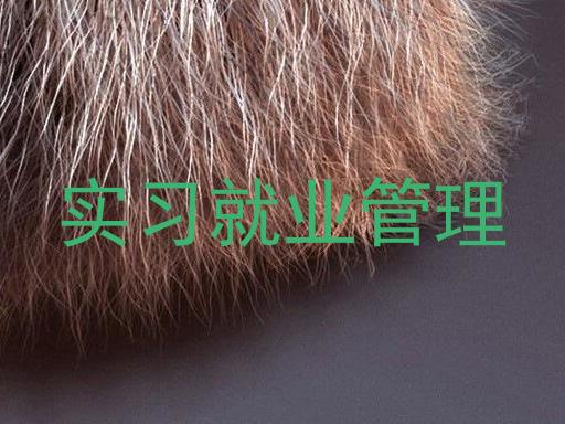 实习就业管理