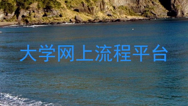 大学网上流程平台