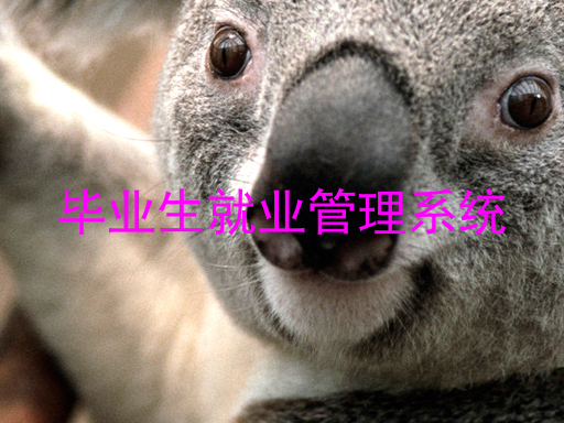毕业生就业管理系统
