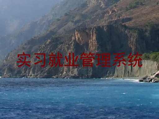实习就业管理系统