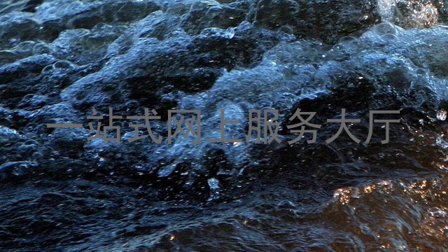 一站式网上服务大厅