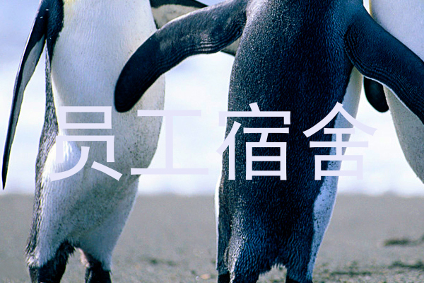 员工宿舍