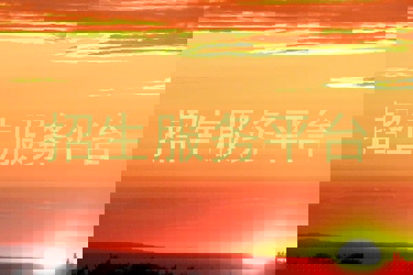 招生服务平台