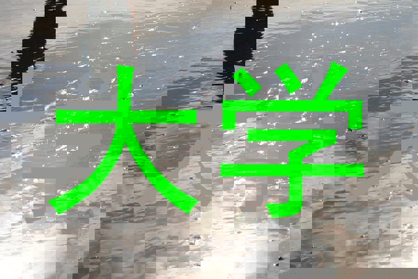 大学