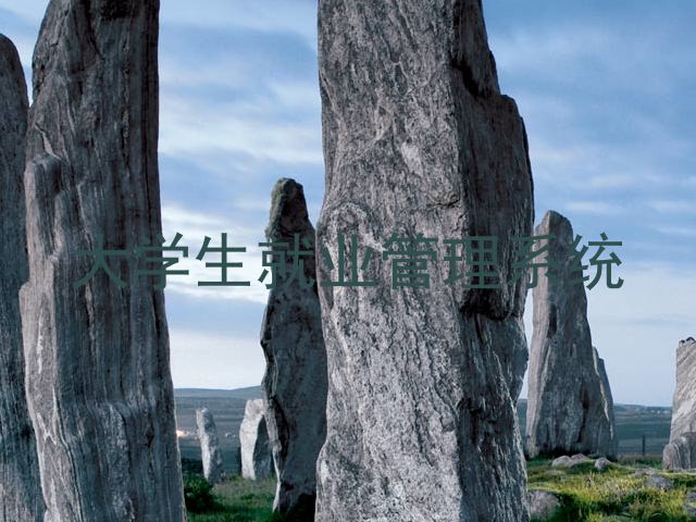 大学生就业管理系统