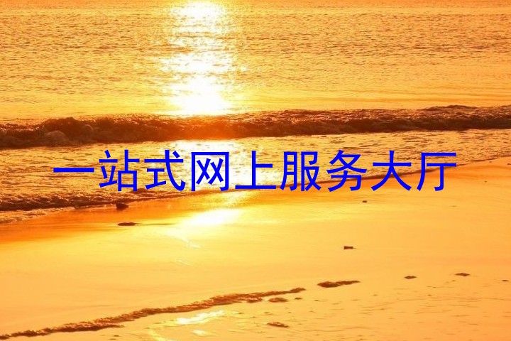 一站式网上服务大厅