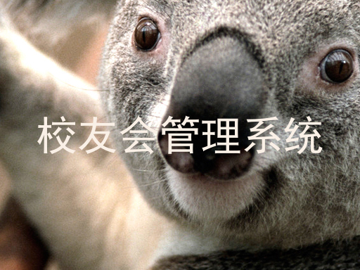 校友会管理系统