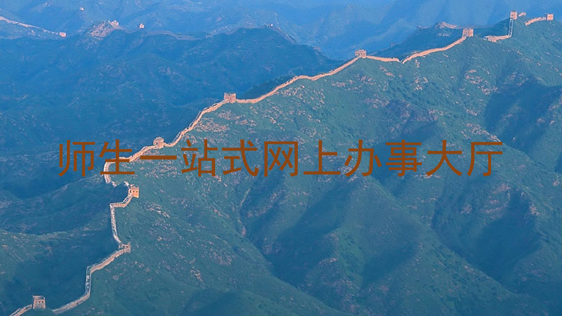 师生一站式网上办事大厅
