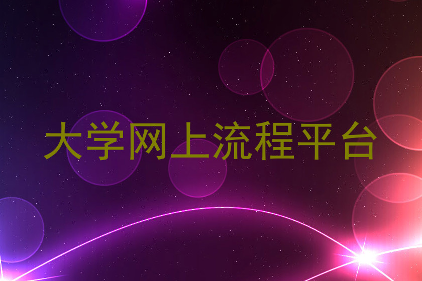 大学网上流程平台