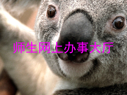 师生网上办事大厅
